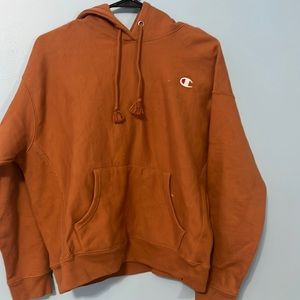 brown champion hoodie